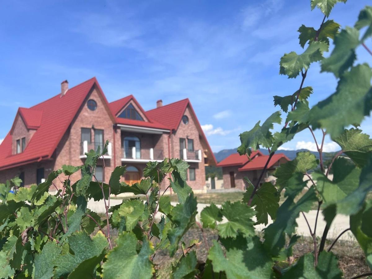 Begaso Family Winery Hotel Kvareli Luaran gambar