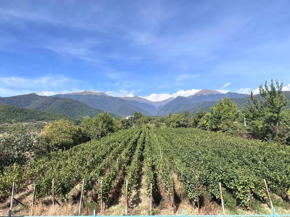 Begaso Family Winery Hotel Kvareli Luaran gambar